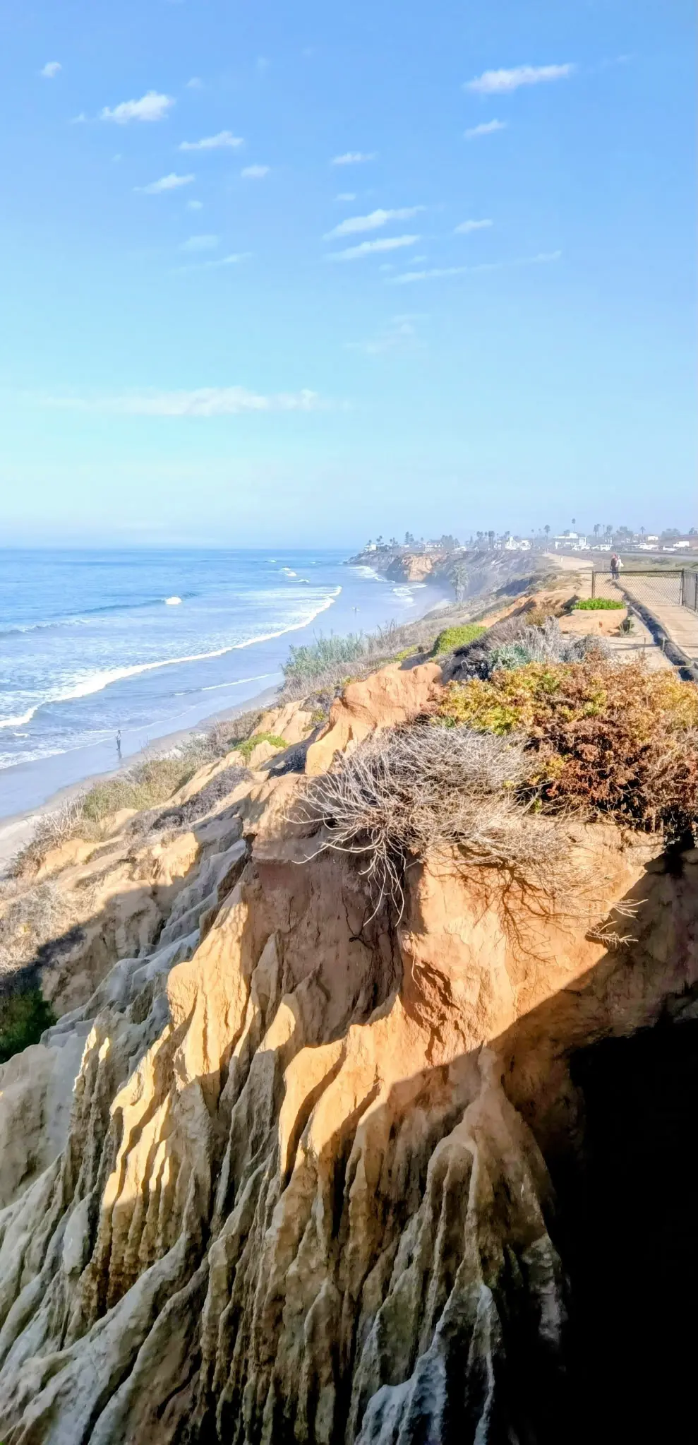 Jeff and Deb wedding photo 10
