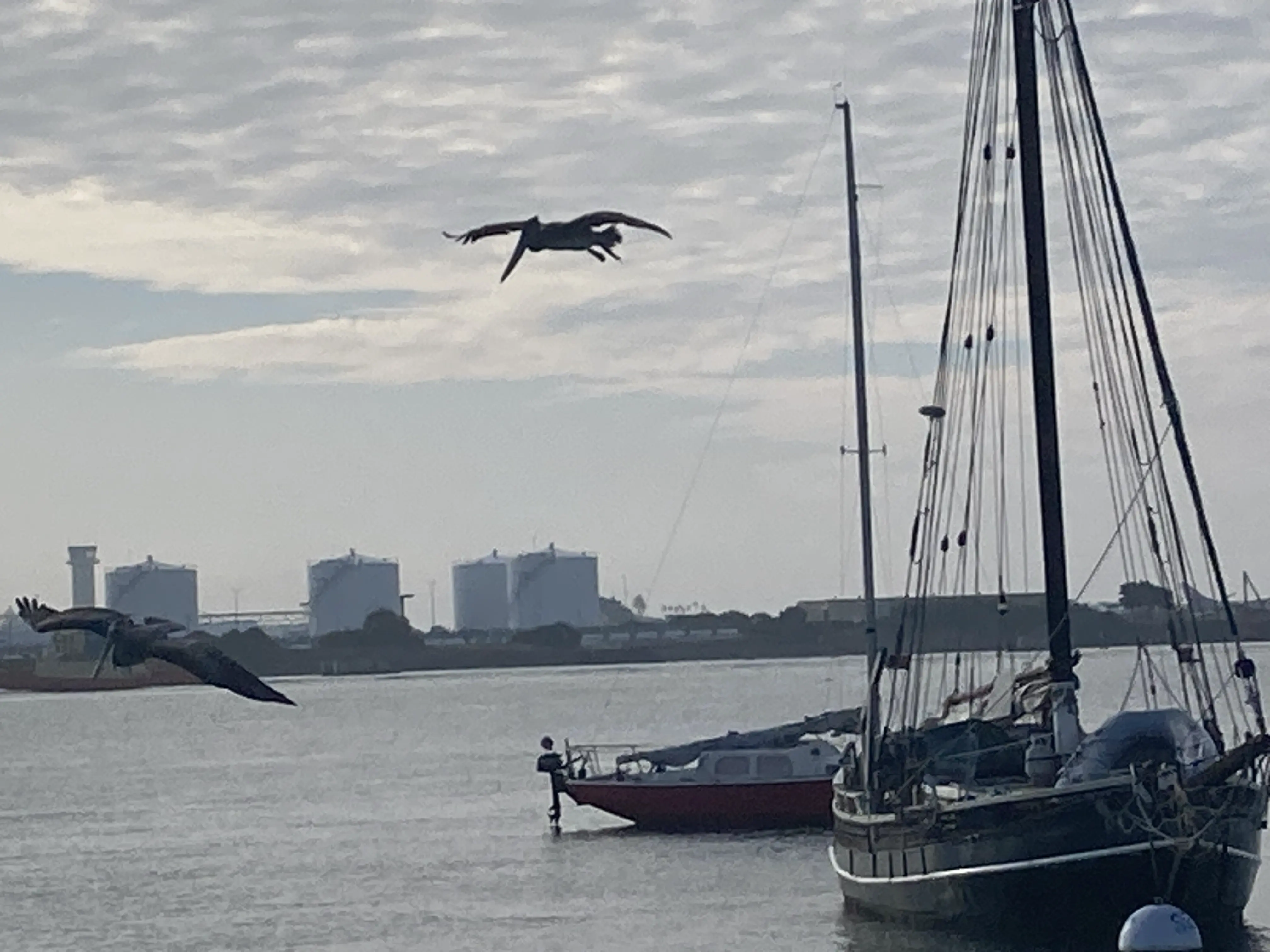 Jeff and Deb wedding photo 10